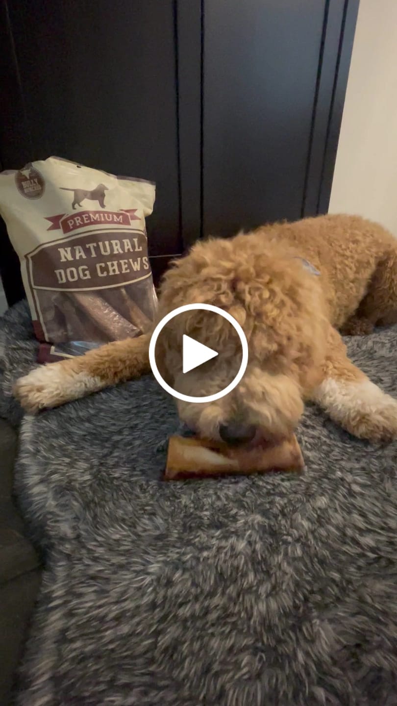 Customer video review of 5-6 Inch Marrow Bone