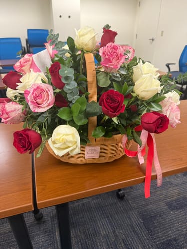Customer photo review of B Basket - Red Deluxe