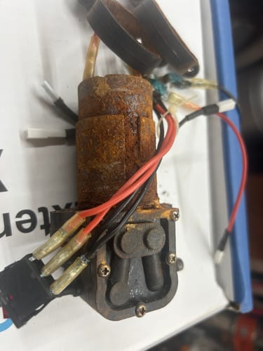 Customer photo review of 12v pump kit