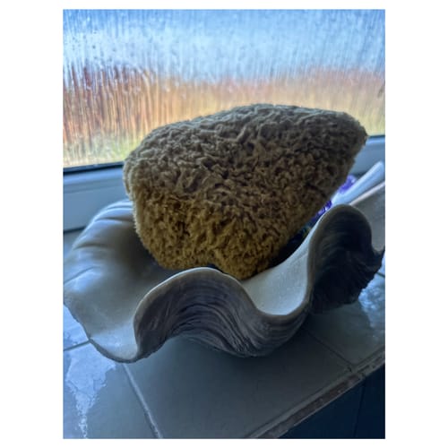 Customer photo review of Bath & Shower Natural Sea Sponges
