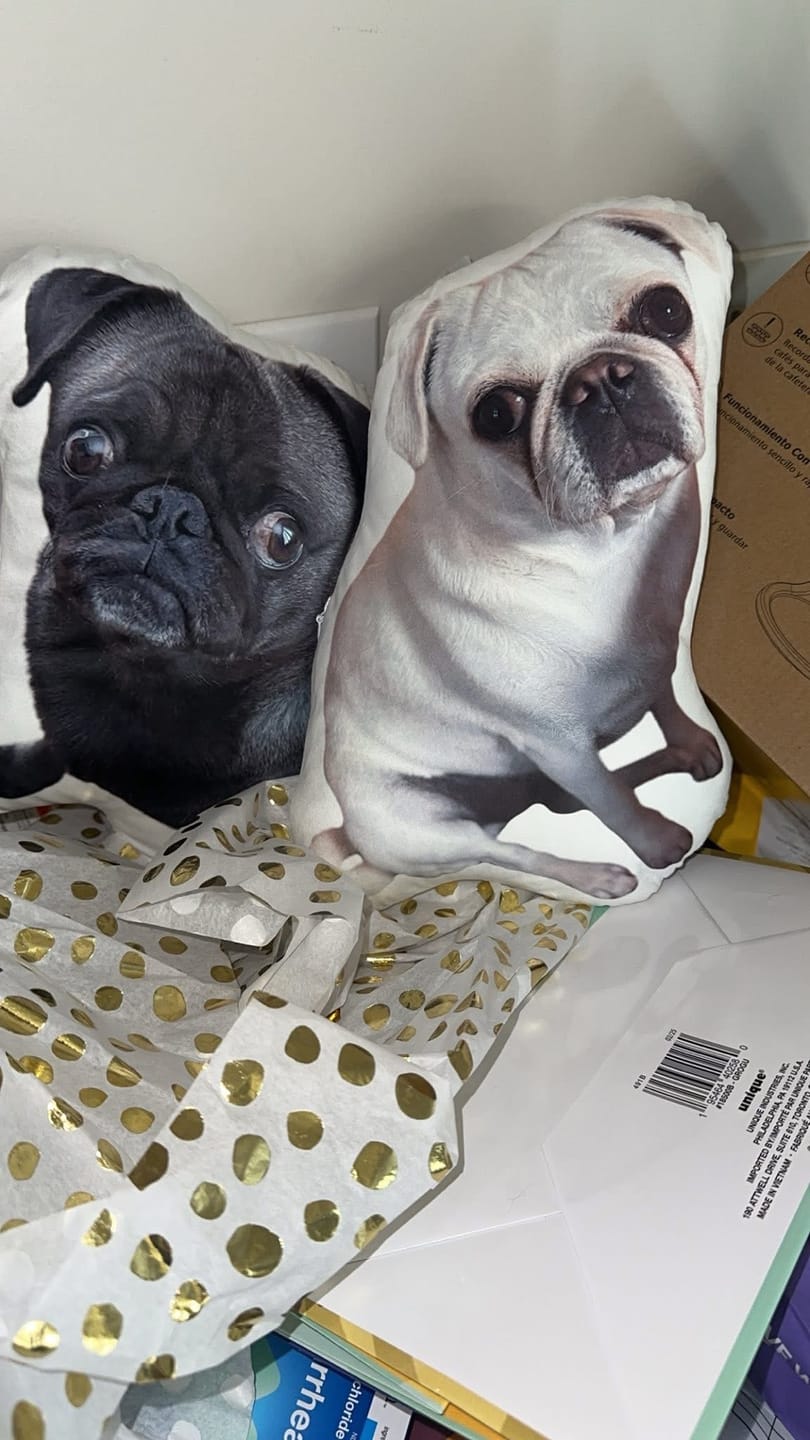 Customer photo review of Custom Dog Shaped Memorial Pillow for Pet Owners from Your Pet Picture