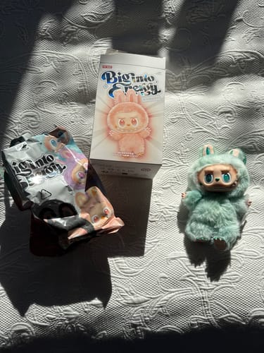 Customer photo review of Pop Mart Labubu The Monsters Big into Energy Series Vinyl Plush Pendant Single Blind Box