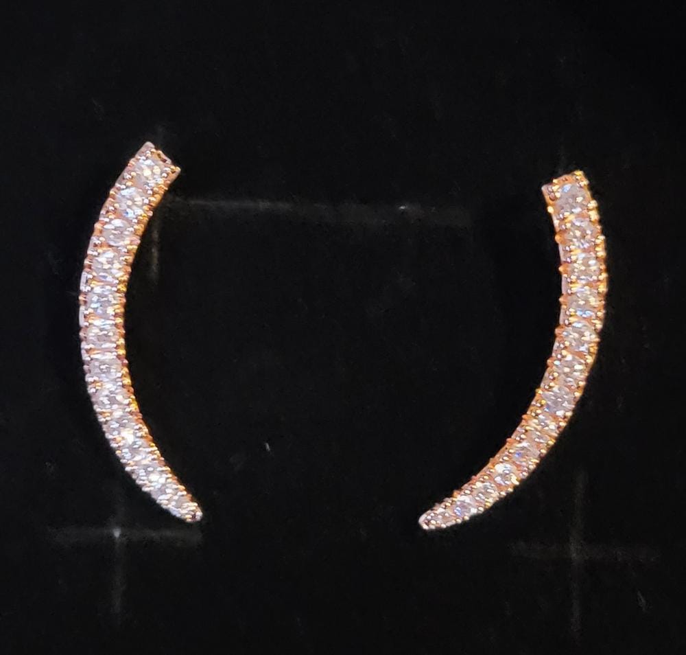 Customer photo review of Camila 18k White Gold Plated Ear Climber Earrings with Simulated Diamond Crystals