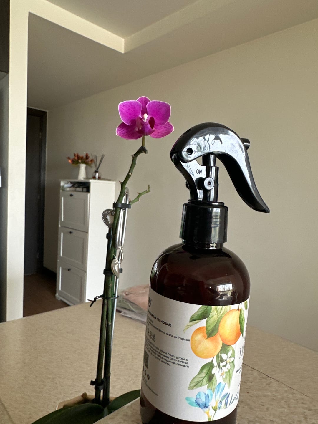 Customer photo review of Brisa del Mar