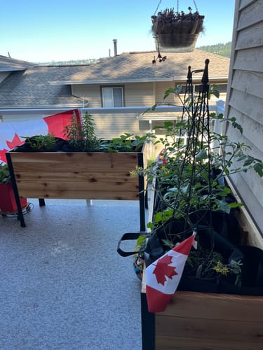 Customer photo review of 18" x 48" Raised Garden Bed - 30" TALL
