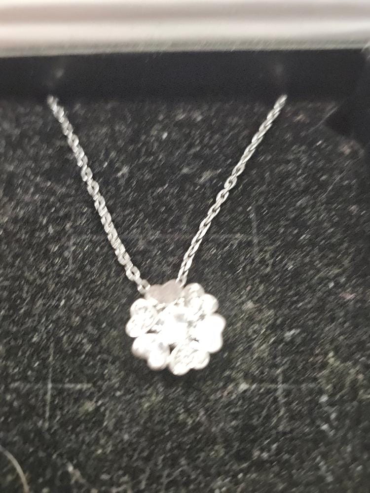 Customer photo review of Khloe 18k White Gold Plated Flower Heart Necklace with Crystals