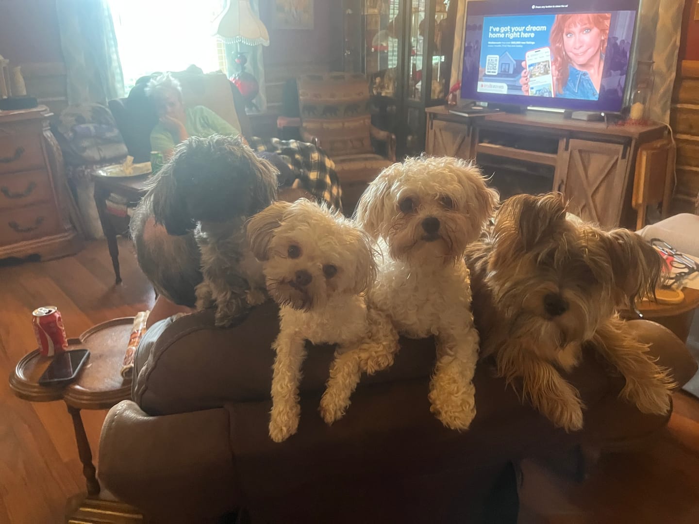 Customer photo review of Custom Four Pet Portrait
