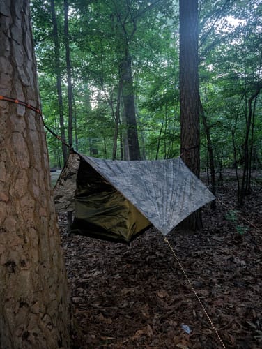 Customer photo review of Haven XL