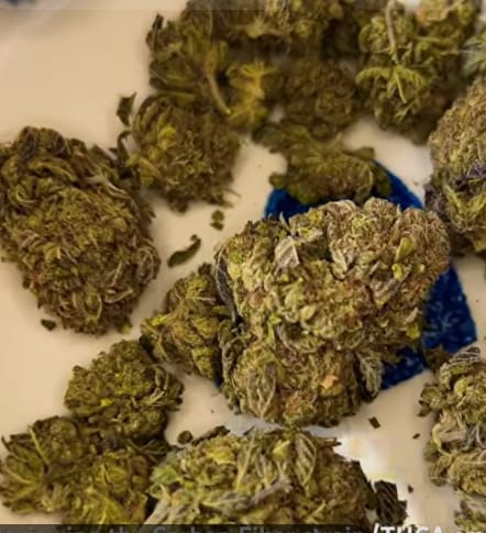 Customer photo review of Carbon Fiber THCA Flower