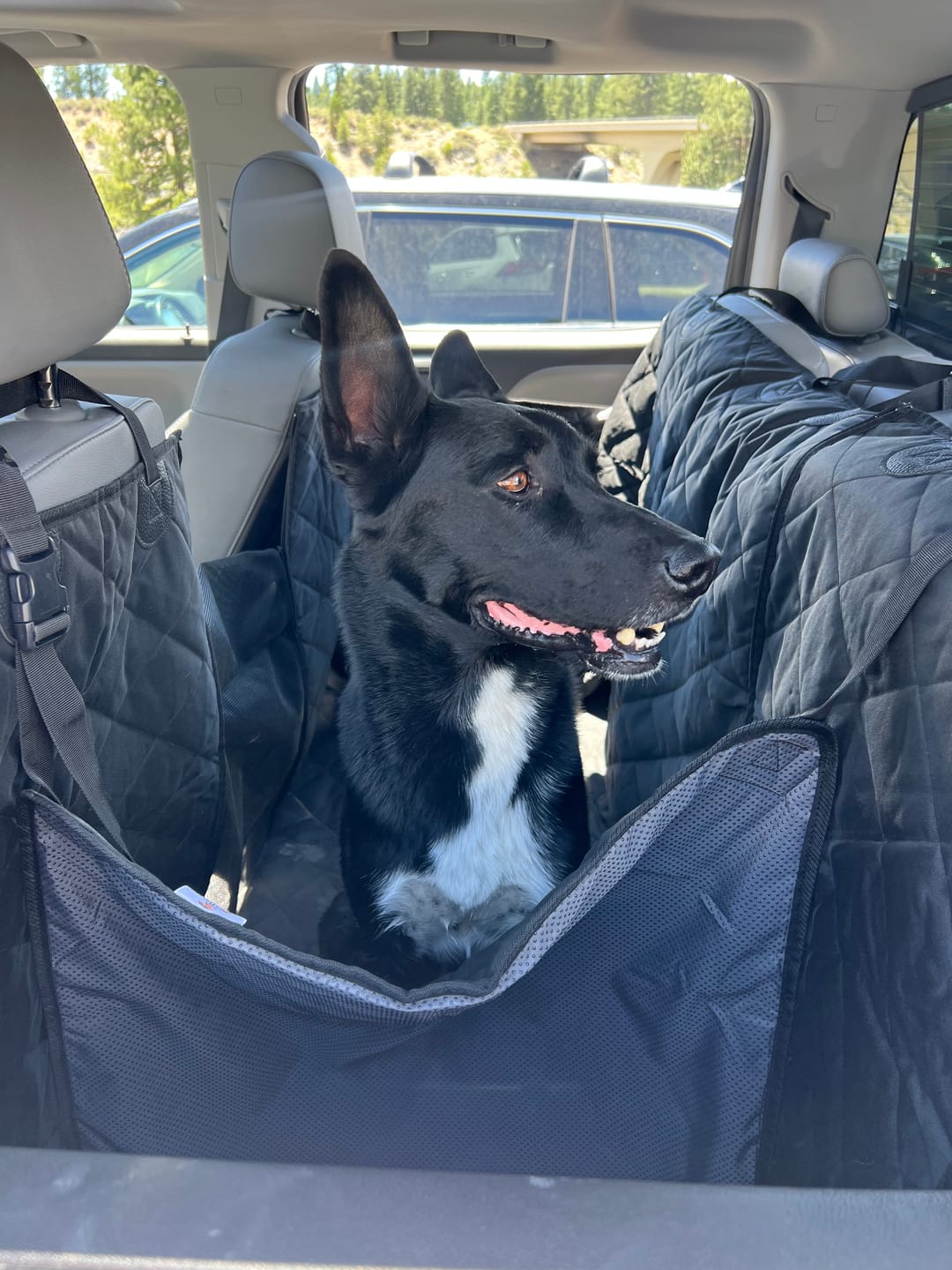 Customer photo review of Floor Hammock for Crew Cab Trucks - Passenger Side