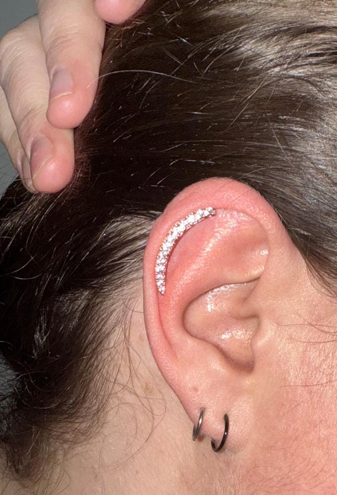 Customer photo review of Camila 18k White Gold Plated Ear Climber Earrings with Simulated Diamond Crystals