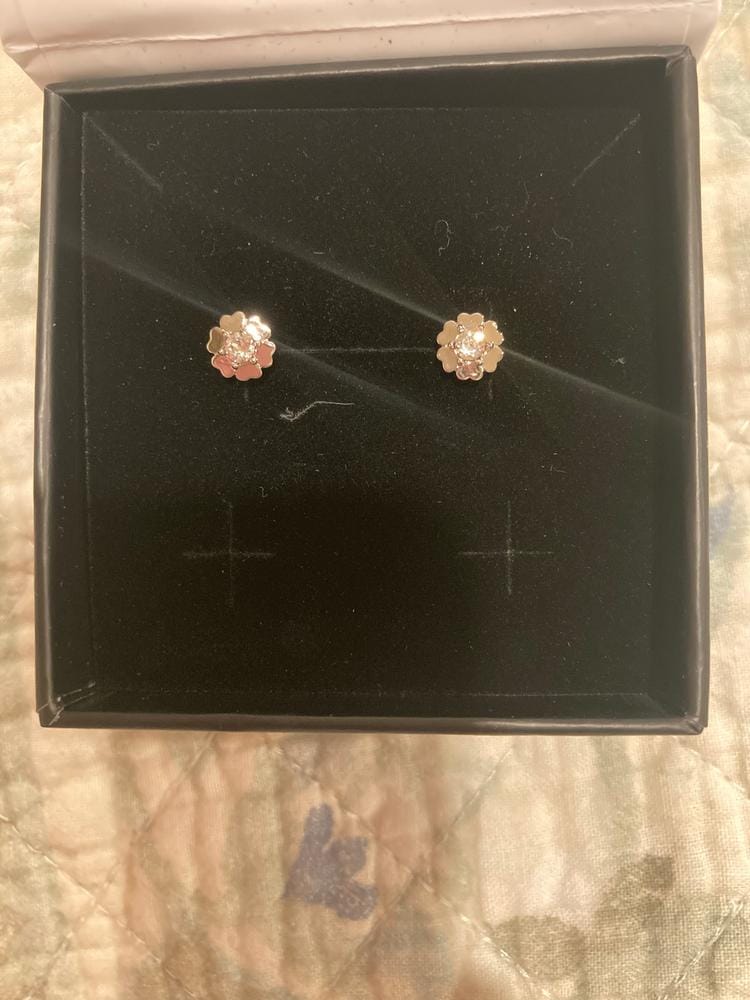 Customer photo review of Khloe 18k White Gold Plated Flower Heart Earrings with Crystals