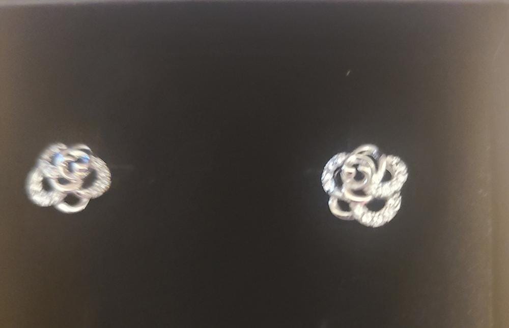 Customer photo review of Briella 18k White Gold Plated Silver Flower Stud Earrings with Swarovski Crystals