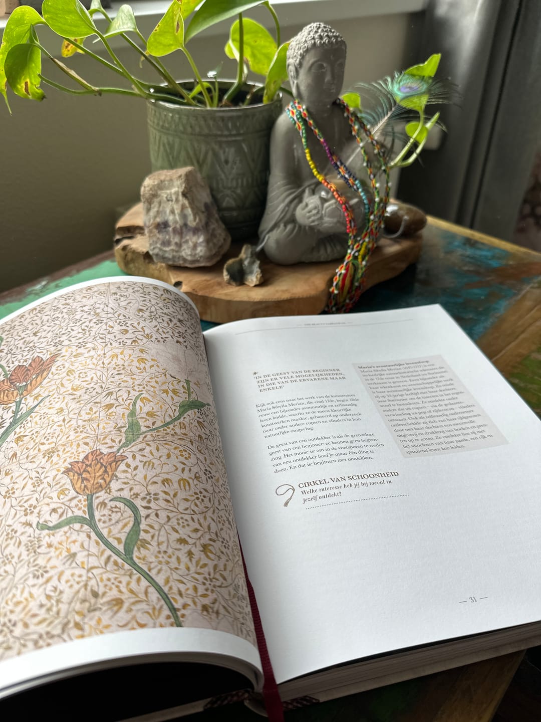 Customer photo review of The Beauty Sabbatical Boek