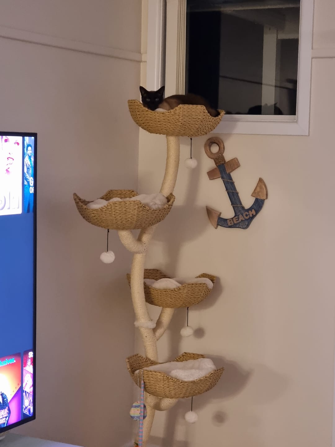 Customer photo review of MICHU Ivy Cat Tower Deluxe 4-Tier Designer Tall Cat Tree