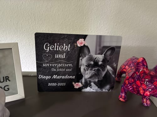 Customer photo review of Hunde Gedenktafel mit Foto & Spruch (UV- &  Wetterfest)