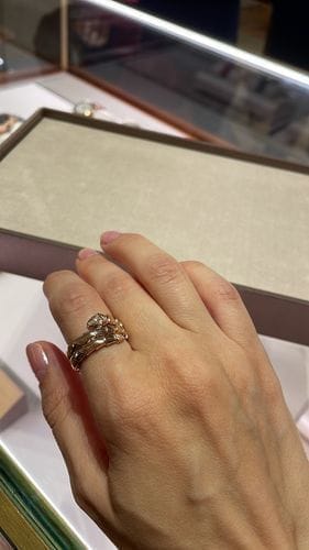 Customer photo review of SERPENTS DOUBLE ROW DIAMOND RING