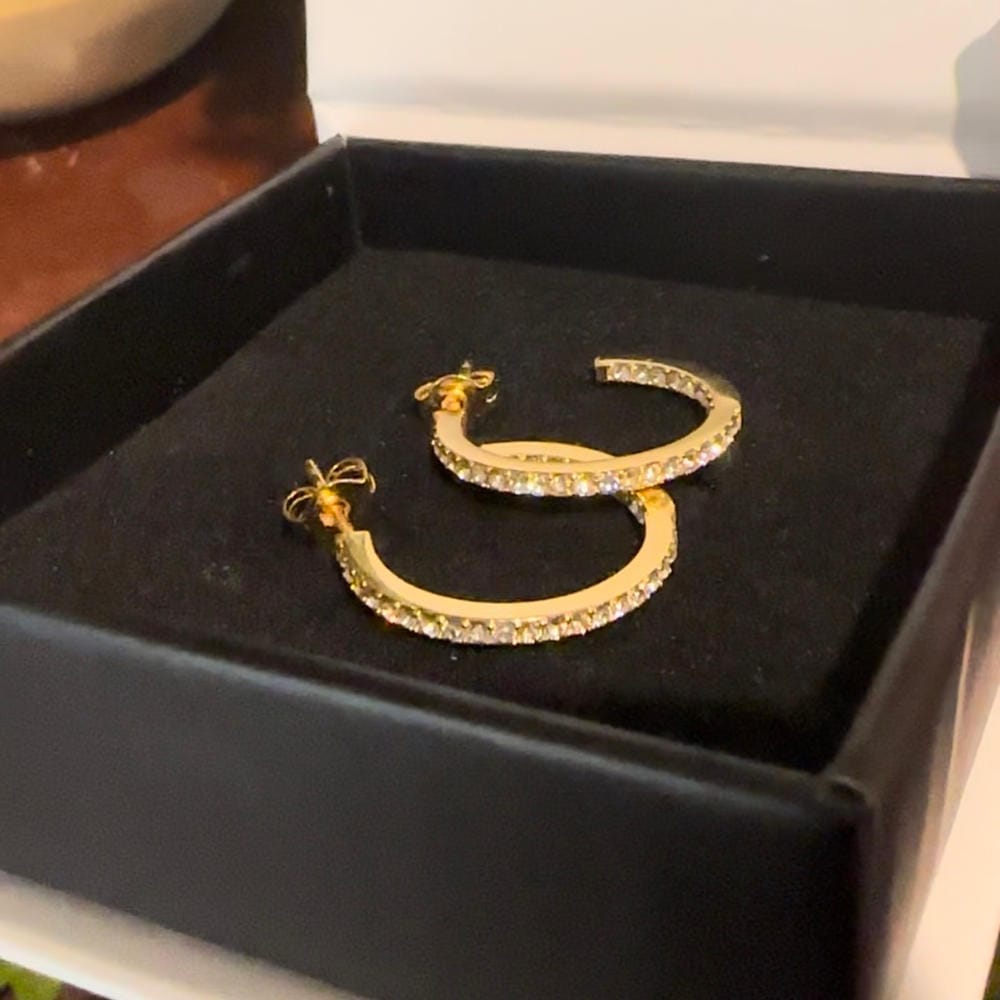 Customer photo review of Rosalyn 18k White Gold Plated 20mm Hoop Earrings with Swarovski Crystals