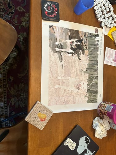 Customer photo review of Custom Paint By Numbers Kit - Upload Your Photo - Brush Set Included