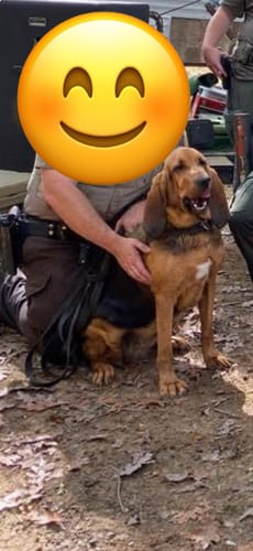 Customer photo review of Requiescat (Woven Blanket)