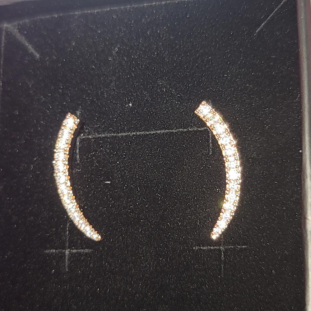 Customer photo review of Camila 18k White Gold Plated Ear Climber Earrings with Simulated Diamond Crystals