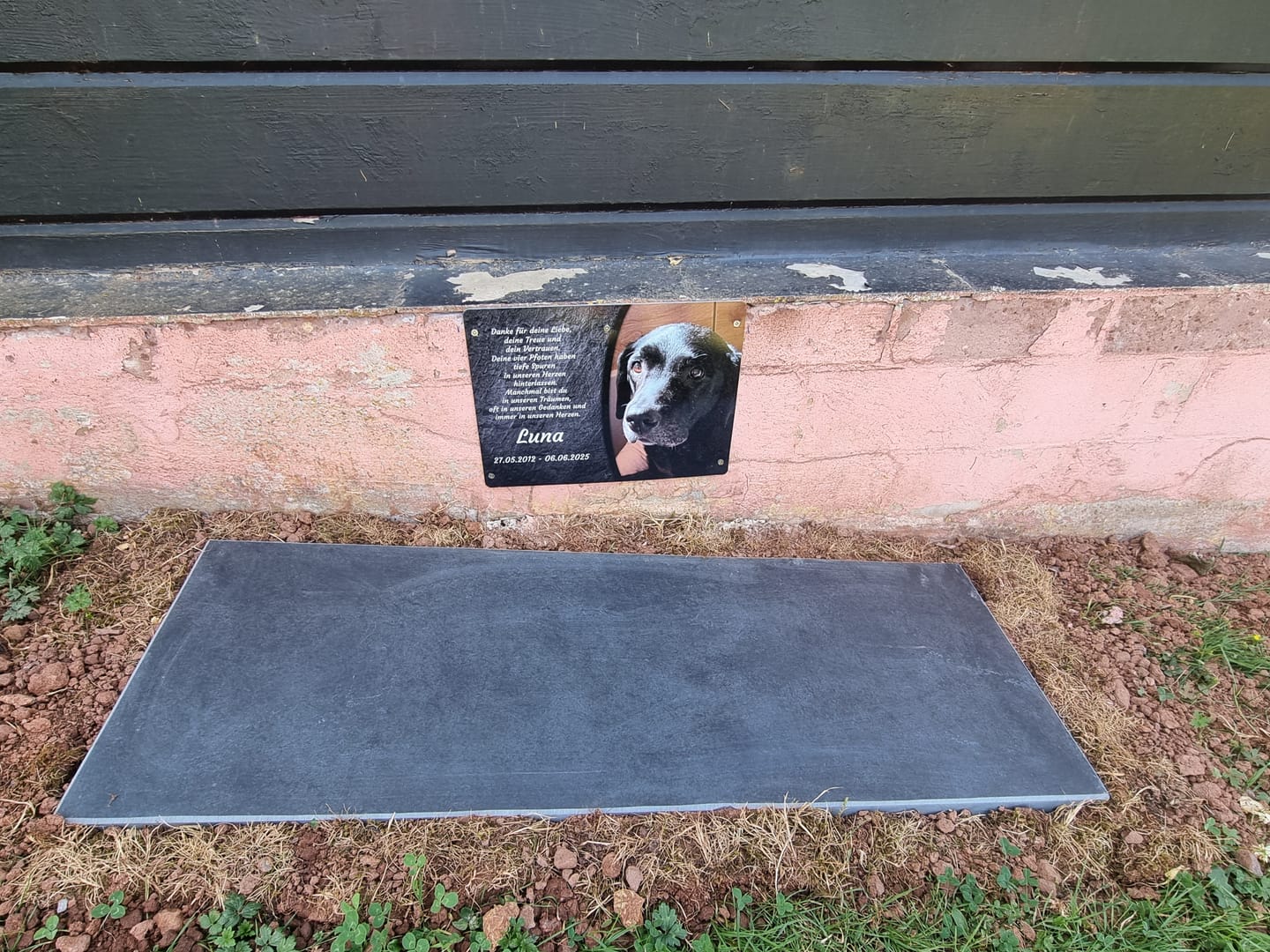 Customer photo review of Hunde Gedenktafel mit Foto & Spruch (UV- & Wetterfest)