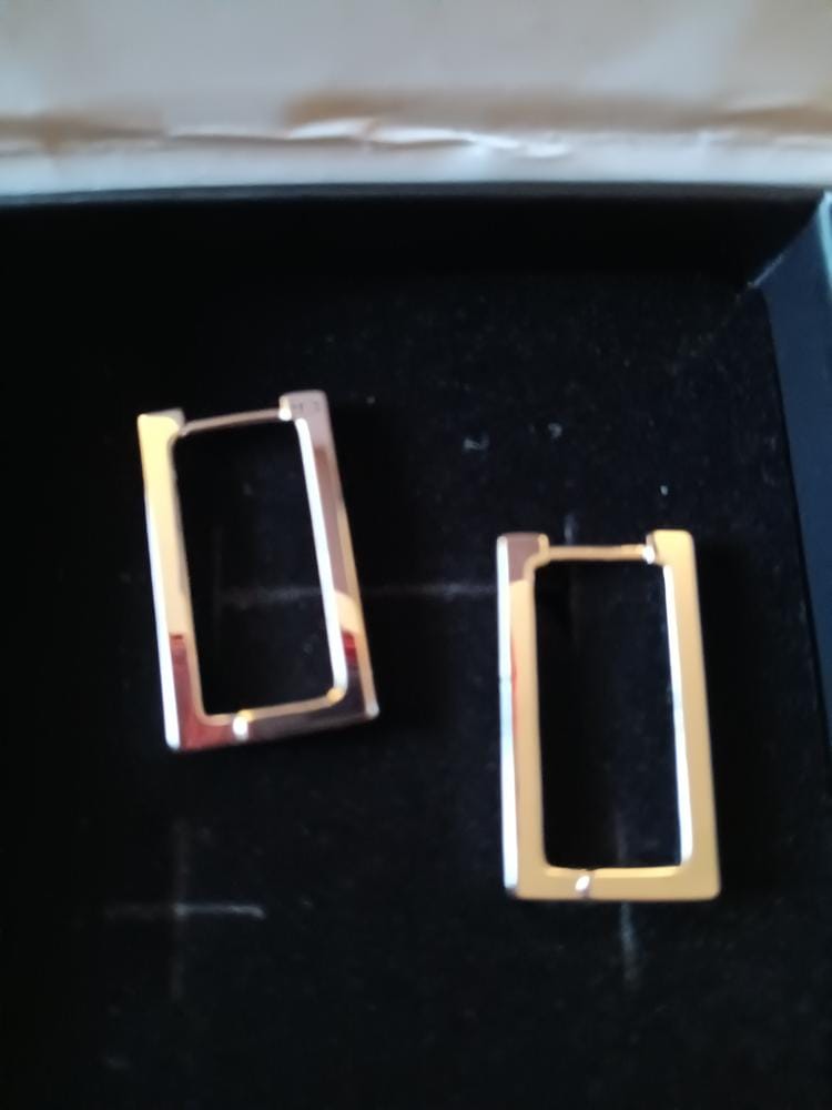 Customer photo review of Annalise 18k White Gold Plated 24mm Silver Square  Hoop Earrings