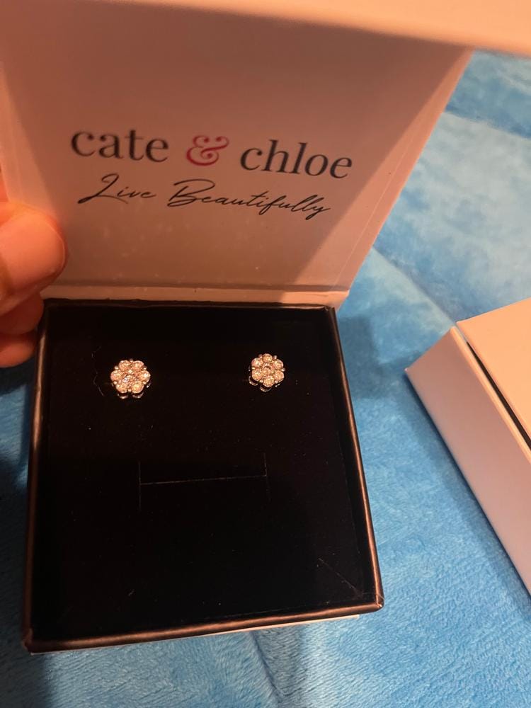 Customer photo review of Nova 18k White Gold Plated Stud Earrings with Simulated Diamond Crystals