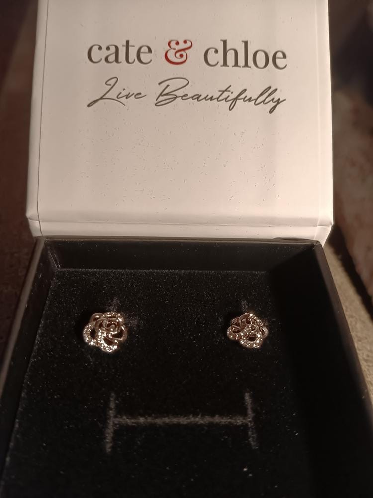 Customer photo review of Briella 18k White Gold Plated Silver Flower Stud Earrings with Swarovski Crystals