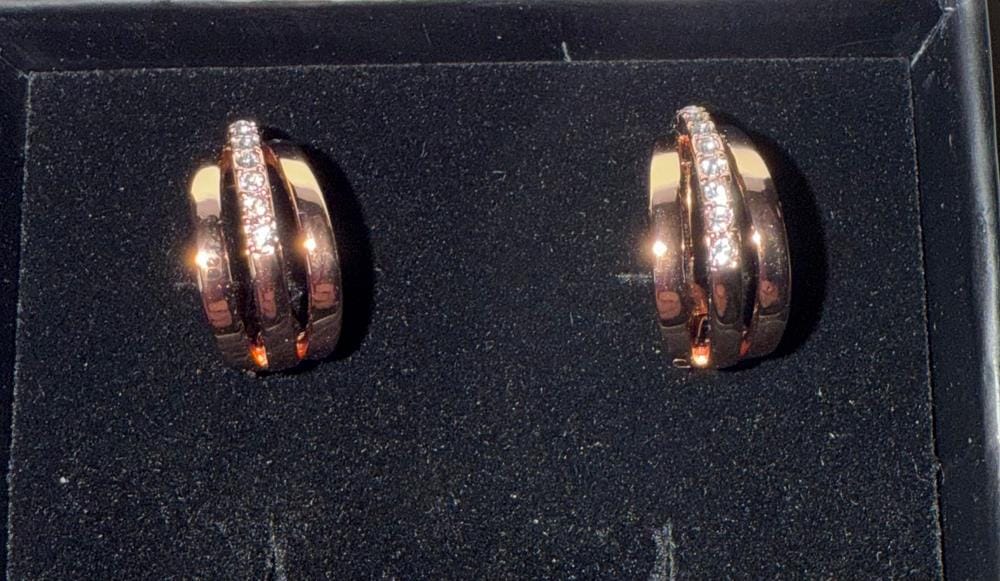 Customer photo review of Bella 18k White Gold Plated 17mm Hoop Earrings with Swarovski Crystals