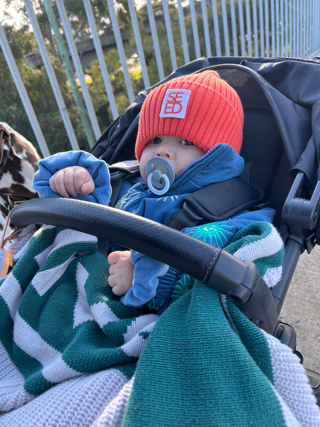 Customer photo review of Ziggy Lou - Cord Jacket Enzo