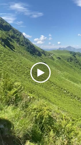 Customer video review of Antelao