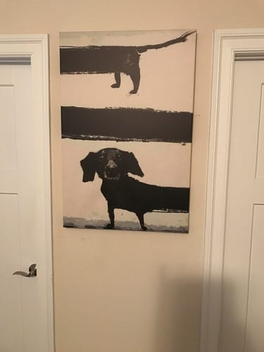 Customer photo review of SAUSAGE DOG CANVAS