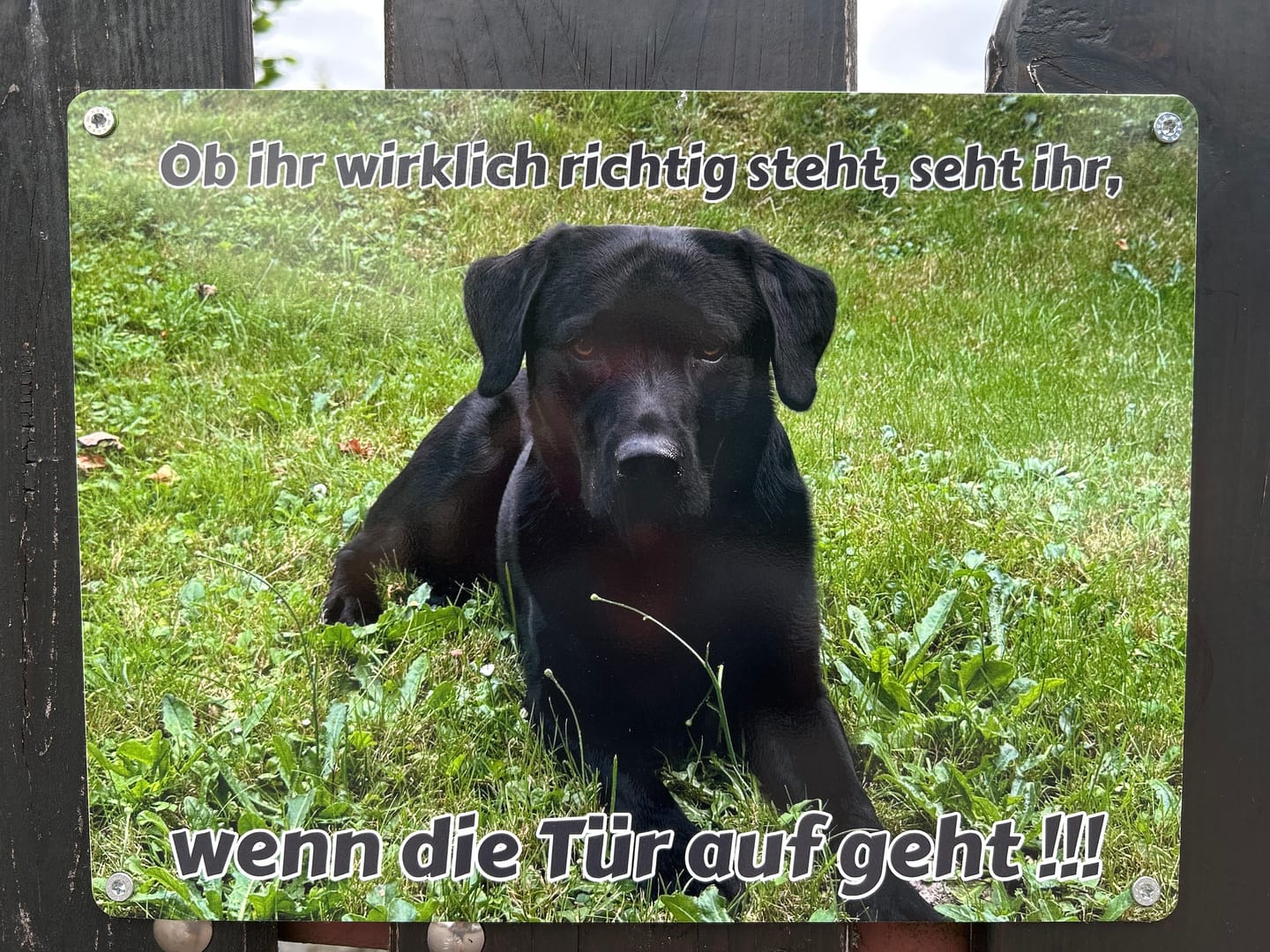 Customer photo review of Hunde-Türschild personalisiert mit Foto & Text (UV- und wetterfest)