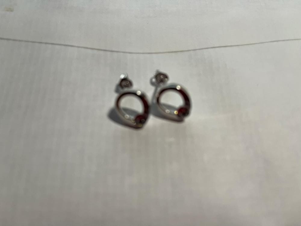 Customer photo review of Dahlia 18k White Gold Plated 12mm Hoop Earrings with Swarovski Crystal