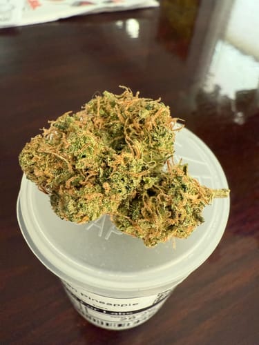 Customer photo review of Golden Pineapple