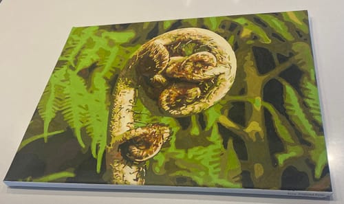 Customer photo review of New Zealand Fern