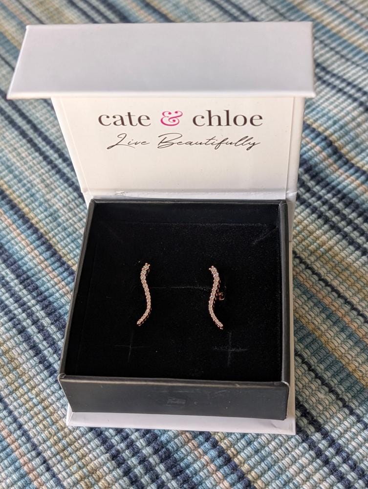 Customer photo review of Isabella 18k White Gold Plated Sterling Silver Ear Climber Earrings with Simulated Diamond Crystals