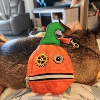 Customer photo review of In the Hoop Steampunk Pumpkin Pouch Pattern CD