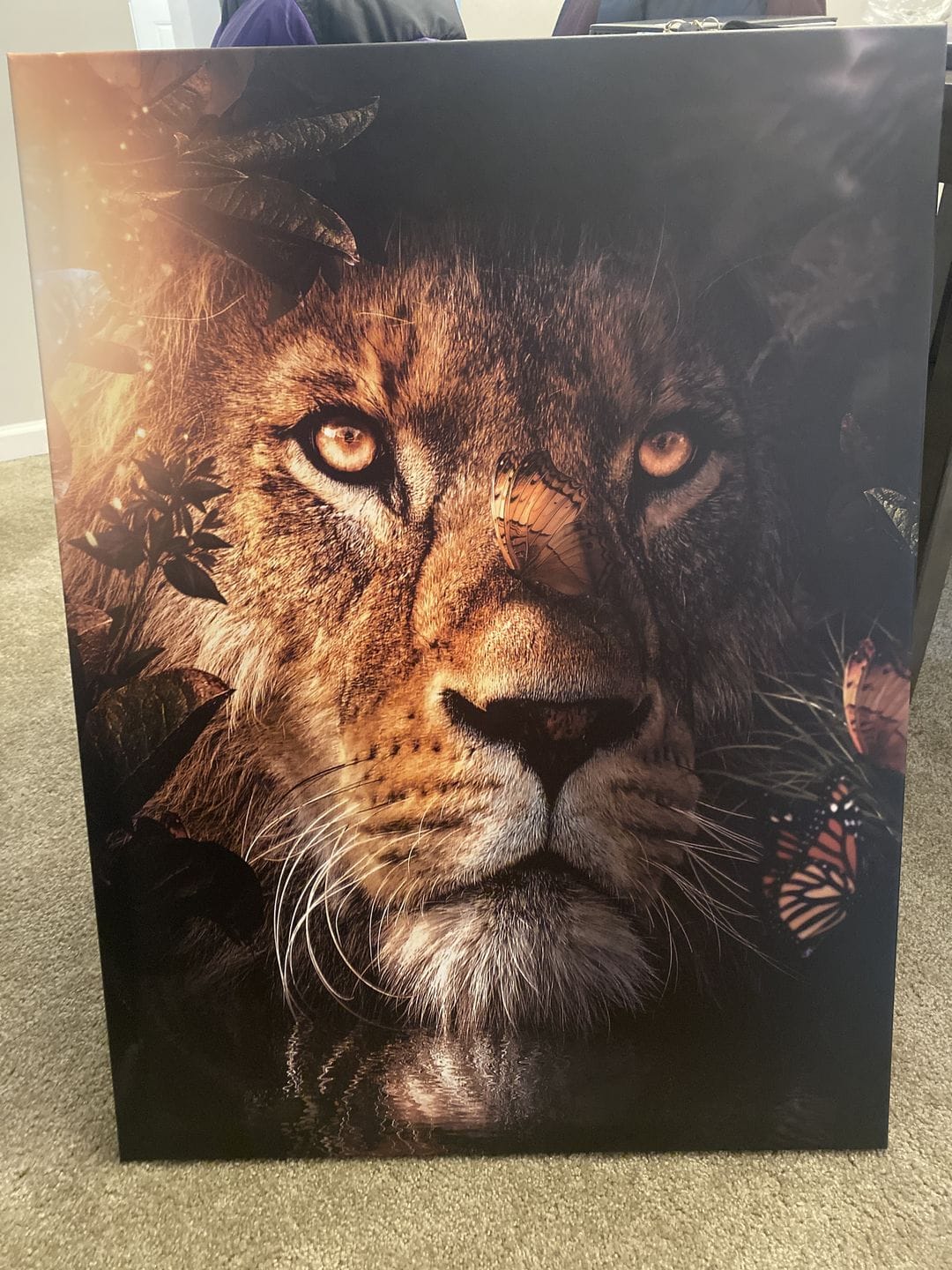 Customer photo review of Hiding Lion Portrait