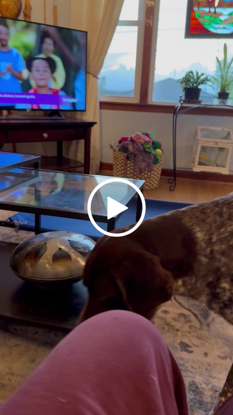 Customer video review of Royal Canin Gastrointestinal Low Fat + Hydrolyzed Protein Dry Dog Food