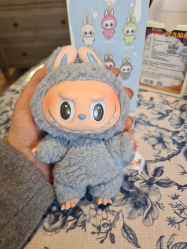 Customer photo review of POP MART The Monsters LABUBU Exciting Macaron Series Vinyl Plush Pendant Face Sealed Case (Single Blind Box) (2023)