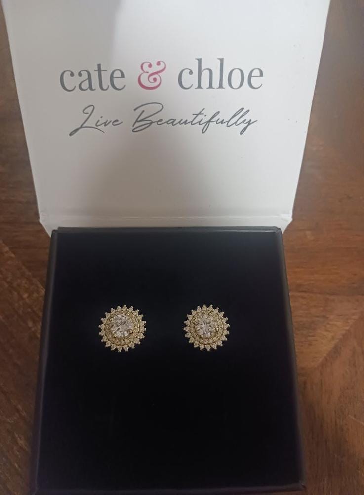 Customer photo review of Cordelia 18k White Gold Plated Stud Earrings with Round Cut Simulated Diamond Crystals - Final Sale