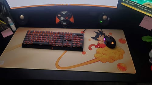 Customer photo review of Sayan