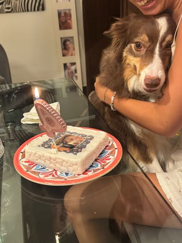 Customer photo review of Fotogenica 2 Torta Per Cani con Fotografia e Messaggio