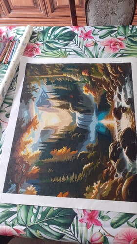 Customer photo review of Malen nach Zahlen - Berge und Wasserfall im Wald