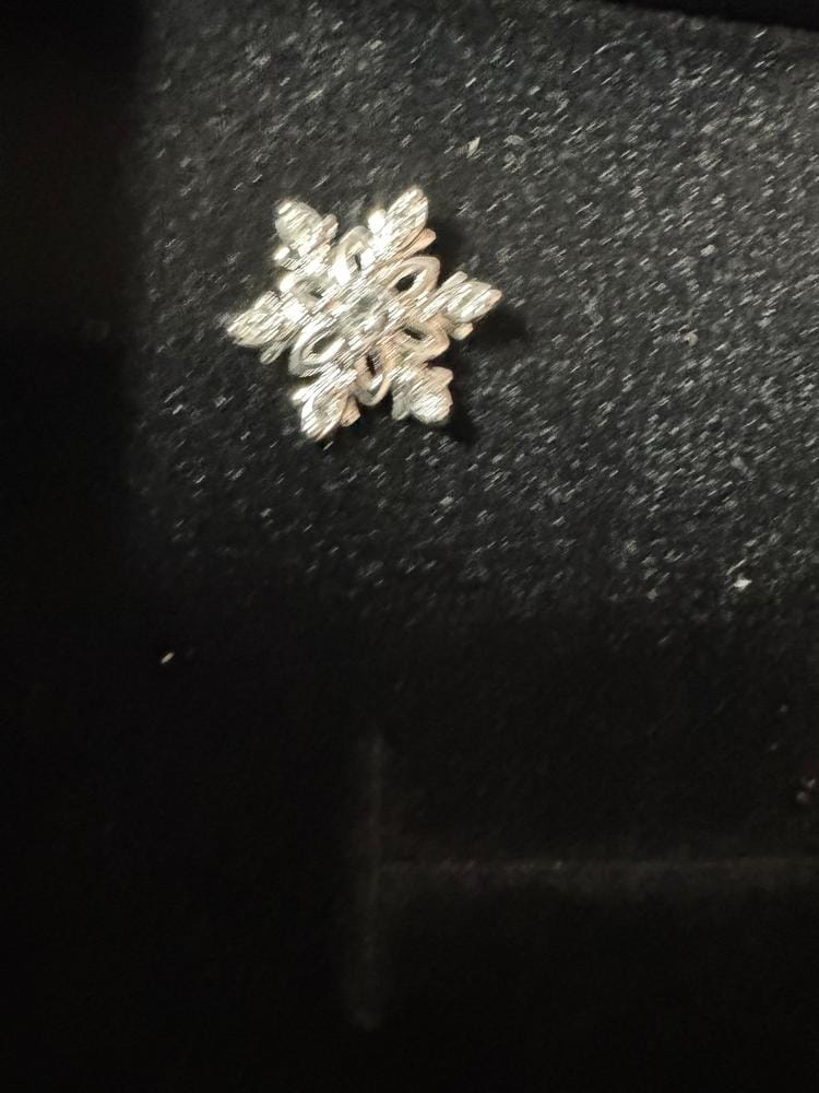Customer photo review of Sunny 18k White Gold Plated Crystal Stud Earrings with Swarovski Crystals