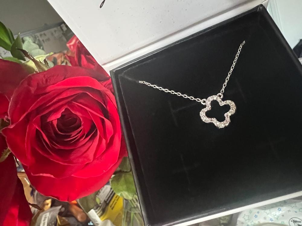Customer photo review of Cassandra 18k White Gold Plated Necklace with Swarovski Crystals