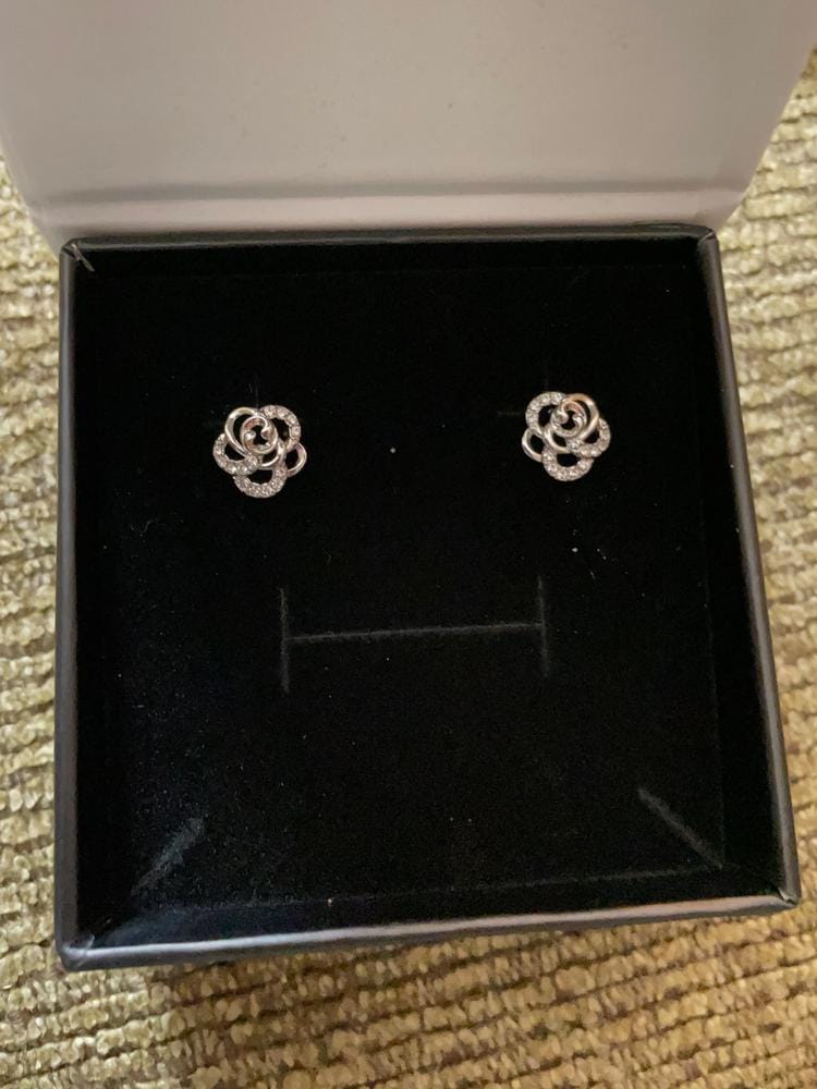 Customer photo review of Briella 18k White Gold Plated Silver Flower Stud Earrings with Swarovski Crystals