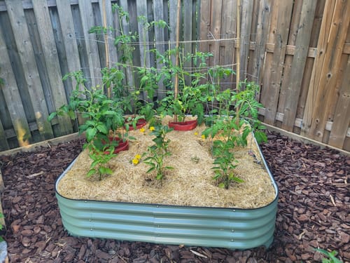 Customer photo review of 17” Tall Modular 9 in 1
